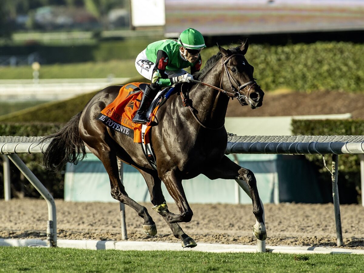 Top 2025 miler El Potente wins the Thunder Road S. (G3) at Santa Anita in 1:32.39 - .7 off the course record - earning a 104 Beyer | Benoit Photo