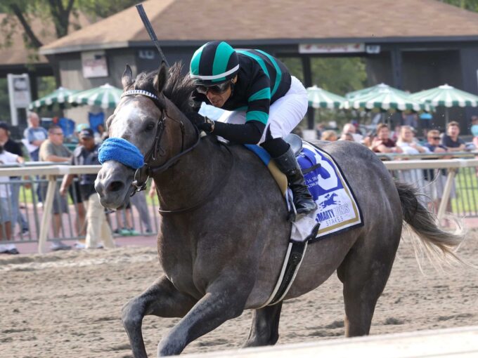 3yo colt Gould's Gold wins the 2024 Smarty Jones S. at Parx | Equi-Photo