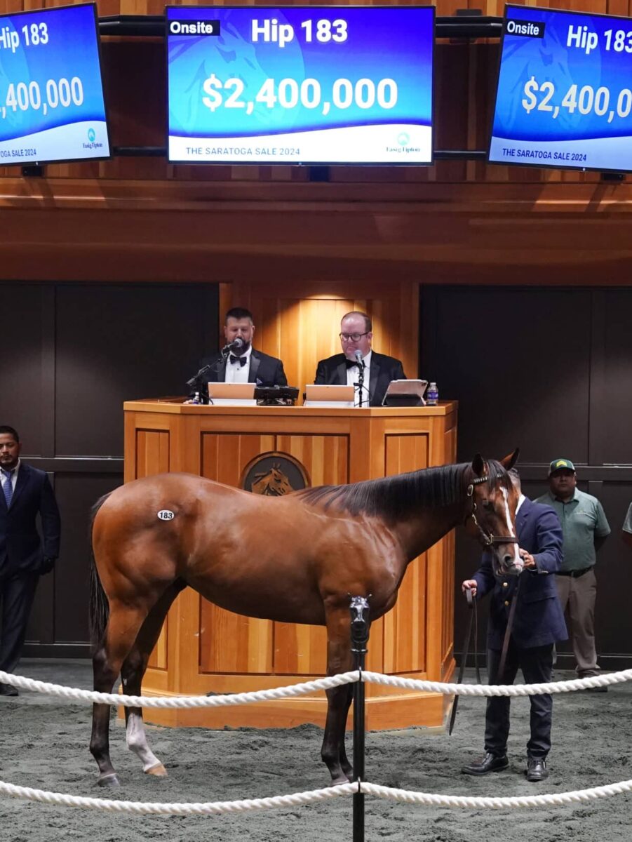 $2.4M session-topper at 2024 F-T SAR | Colt o/o Sweet Sting | Buyer: Speedway Stable | Breeder: Pam & Martin Wygod | Z photo