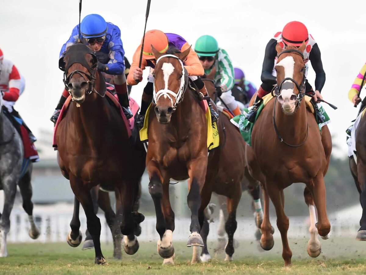 Major Dude (middle) becomes a millionaire winning the 2024 Ft. Lauderdale S. (G2) at Gulfstream | Coglianese photo