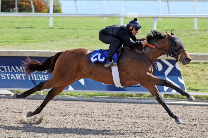 Malibu Moon's $750,000 filly, hip No. 20, breezing at the FT Gulfstream 2yo sale - photo by Z