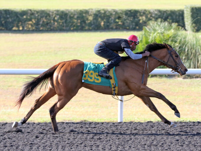 Goldencents's hip No. 399 works a quarter mile in a bullet :20 2/5 at OBS