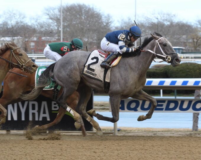 Pat's No Fool captures the $100,000 Maddie May S. at Aqueduct - NYRA photo