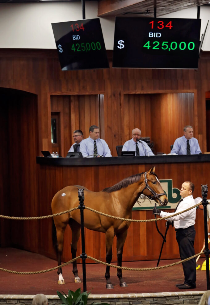 Wicked Strong's $425,000 filly, hip No. 134, at the 2019 OBS March 2yo sale - photo by Z