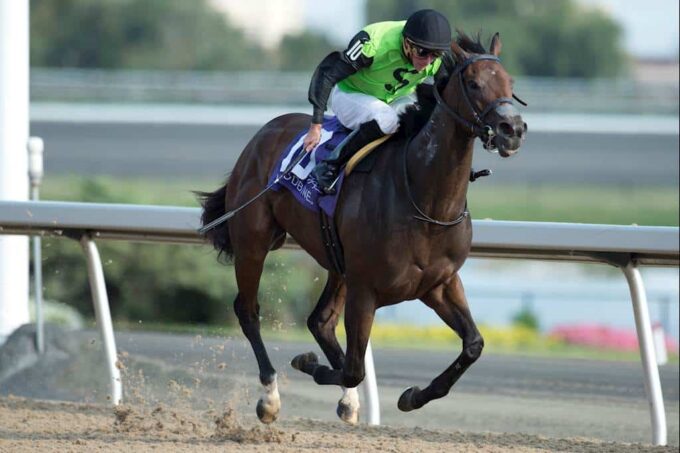 Moonlit Promise - Canada's 2018 champion female sprinter - Michael Burns photo