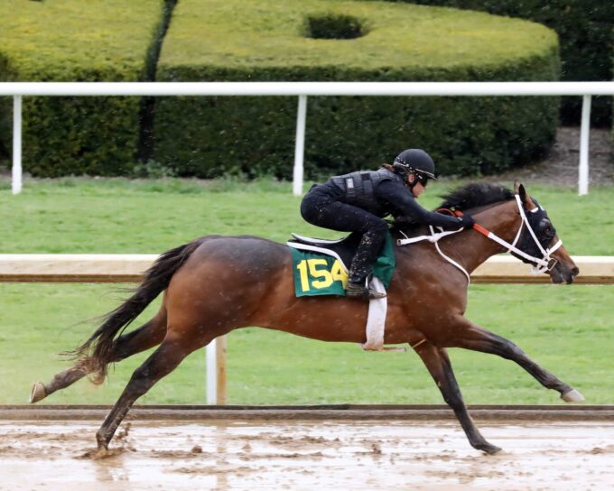 Wicked Strong's $110,000 filly, Hip 154, at the Keeneland April 2yo Sale breeze show - photo by Z,