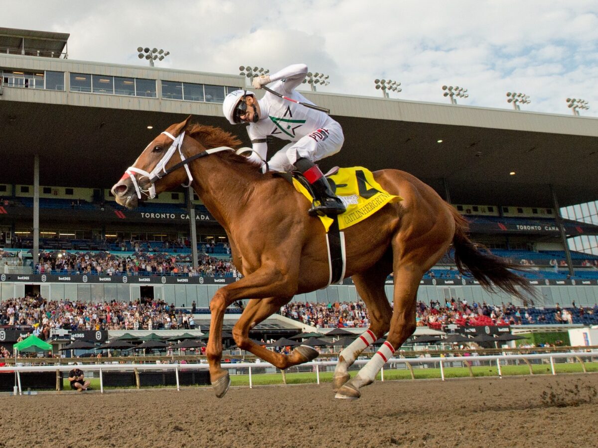 3yo filly Caitlinhergrtness beats the boys in the 2024 King's Plate Stakes to become a Canadian classic winner | Photo courtesy of Woodbine