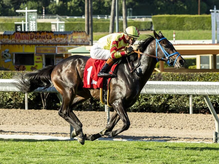 3yo colt Freedom's Not Free wins the 2025 Pasadena S. at Santa Anita | Benoit photo