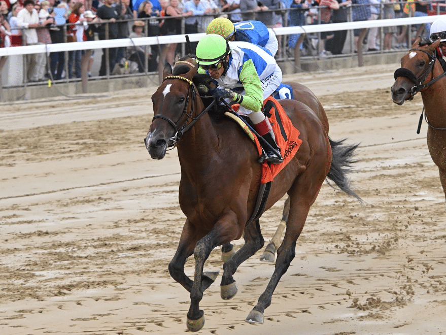 3yo filly Landed wins the Bouwerie S. at Saratoga, earning an 86 Beyer | Coglianese photo
