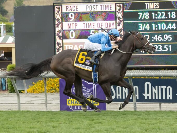 Bolo wins the $500,000 Shoemaker Mile-G1 to become his sire's third G1 winner | Benoit photo