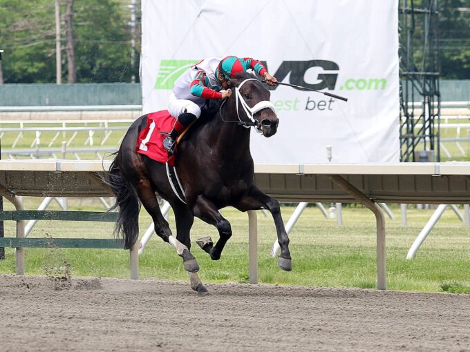 Gin and Platonic goes wire to wire on debut in a $48,600 MdSpWt Sunday at Monmouth | Bill Denver/Equi-Photo