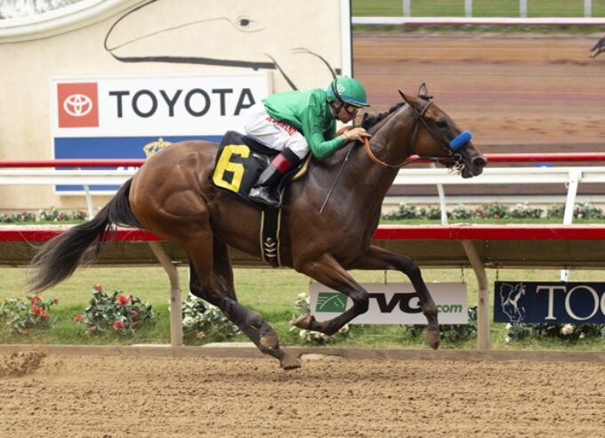 Immediate Impact strolls to victory in her Del Mar debut - Benoit photo