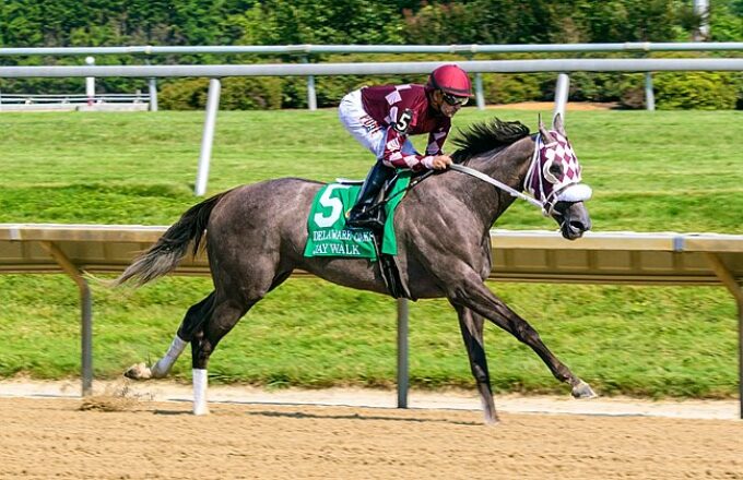 Jaywalk strolls to victory in the 2019 Delaware Oaks (G3) - Hoofprints photo