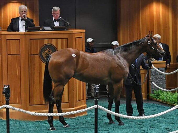 Into Mischief’s $850,000 filly, hip No. 140, at the 2019 Saratoga Yearling sale – Tibor & Judit photography