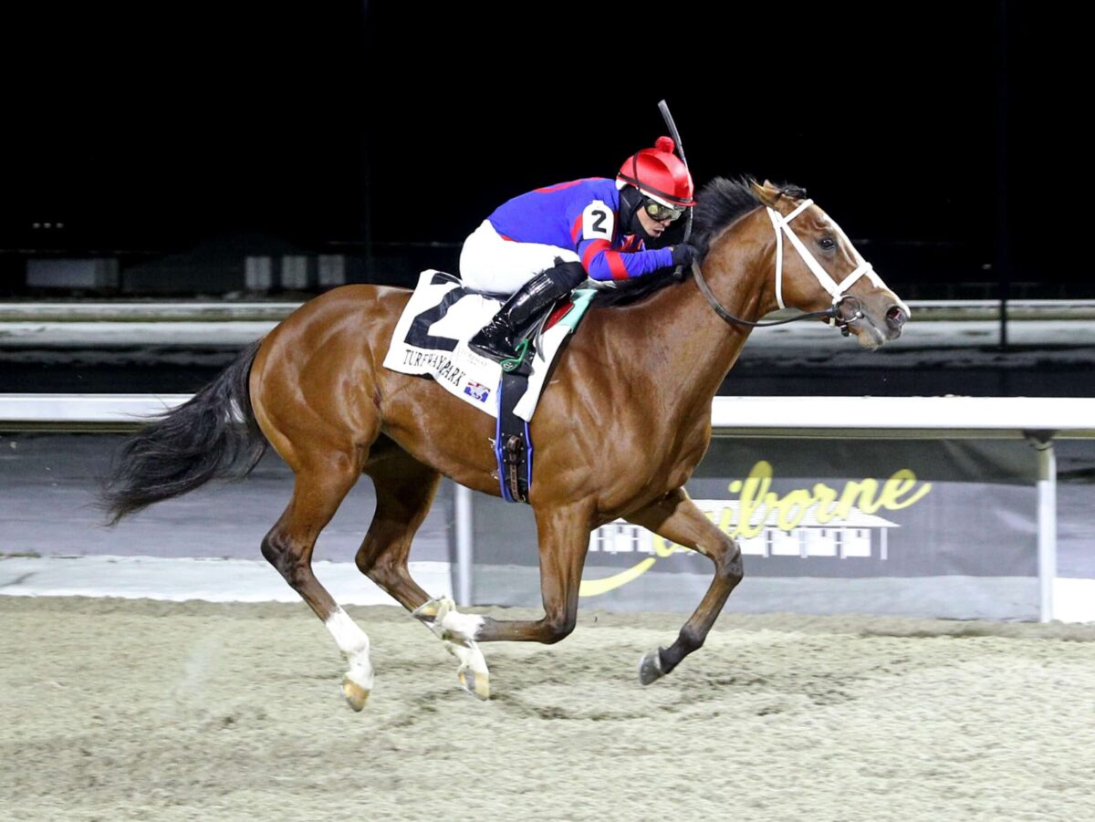 3yo colt Baby Max wins the Leonatus Stakes on the road to the 2025 Kentucky Derby at Turfway | Coady photo