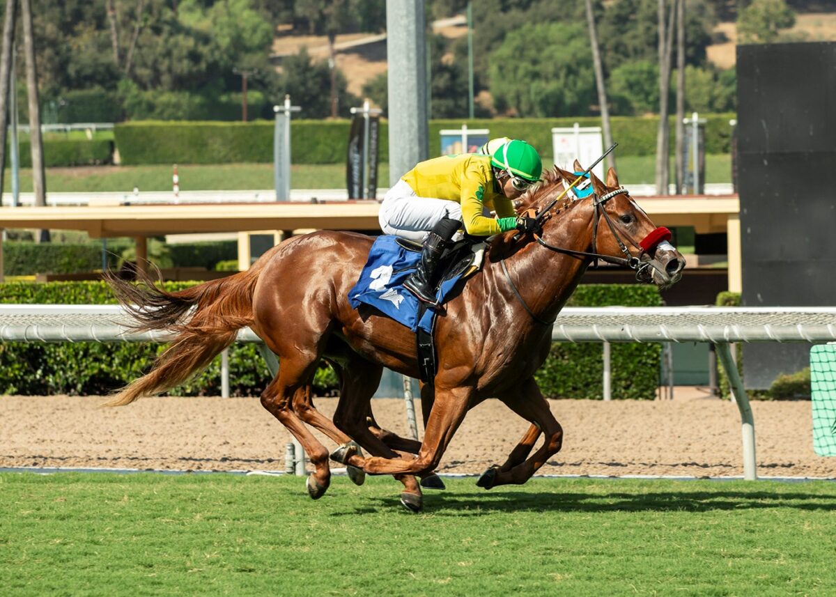 Second-crop 2yo colt Pali Kitten wins the 2024 Speakeasy S. at Santa Anita | Benoit photo