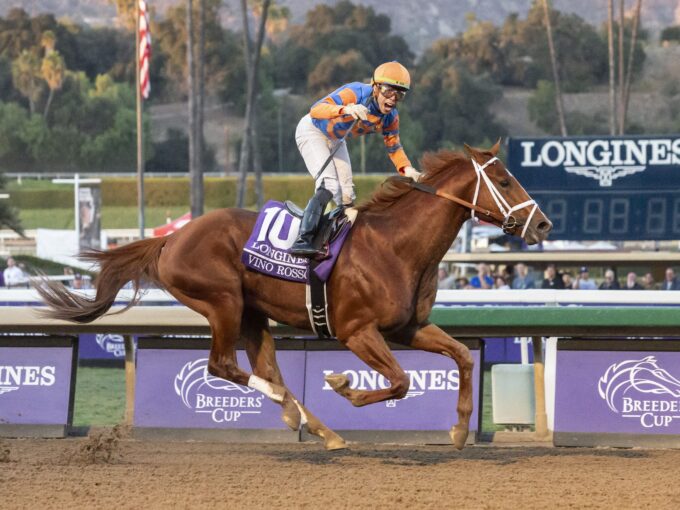 Vino Rosso | 2019 Breeders' Cup Classic-G1 | Benoit photo