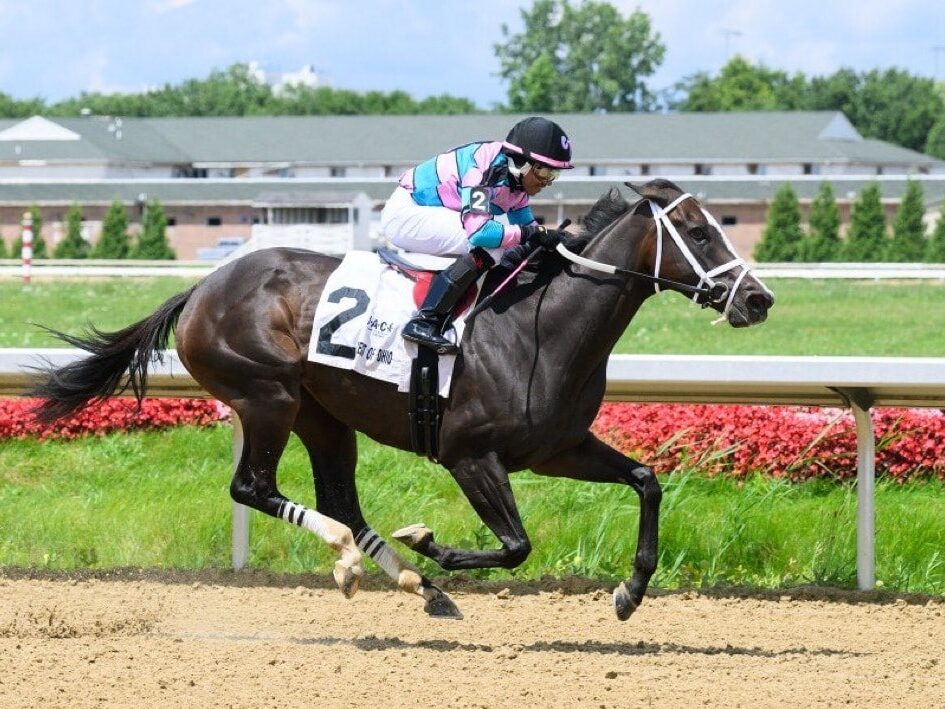 Generous Lover dominates the 2024 Pay the Man S. by 12 1/4 lengths | Courtesy Thistledown