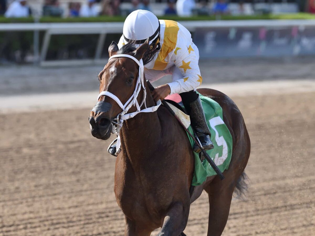 3yo filly Miuccia impressively wins the 2024 Game Face Stakes at Gulfstream, earning a 90 Beyer | Coglianese photo