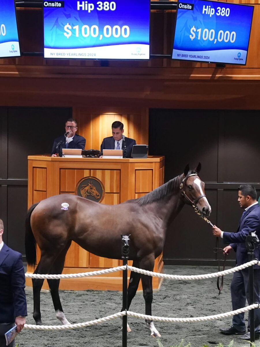 $100,000 at '24 F-T NY Bred | Filly o/o Zarleeza | Purchased by Legion Bloodstock, Agent for JCE Racing | Z photo