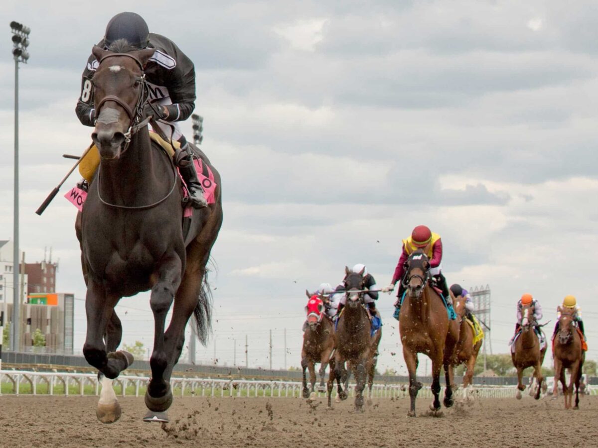 3yo filly Stormcast dominates the $250,000 Bison City Stakes - second leg of the 2024 Canadian Triple Tiara - earning a 91 Beyer | Courtesy Woodbine