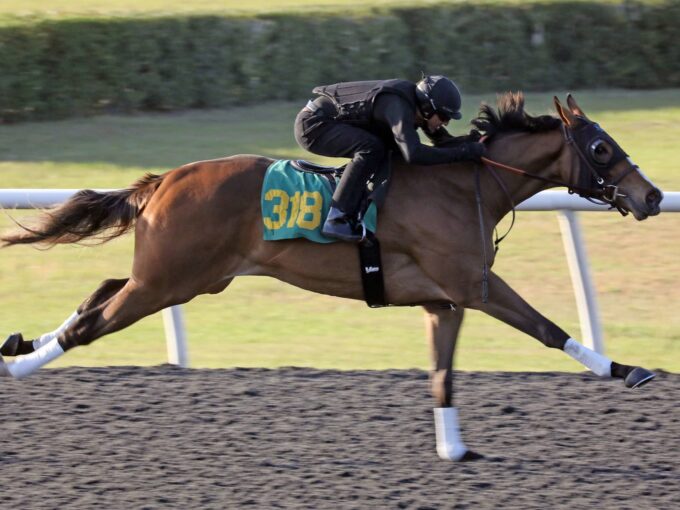 Hip 318, a Cinco Charlie filly, zips :10 flat Friday at OBS March | Judit Seipert photo