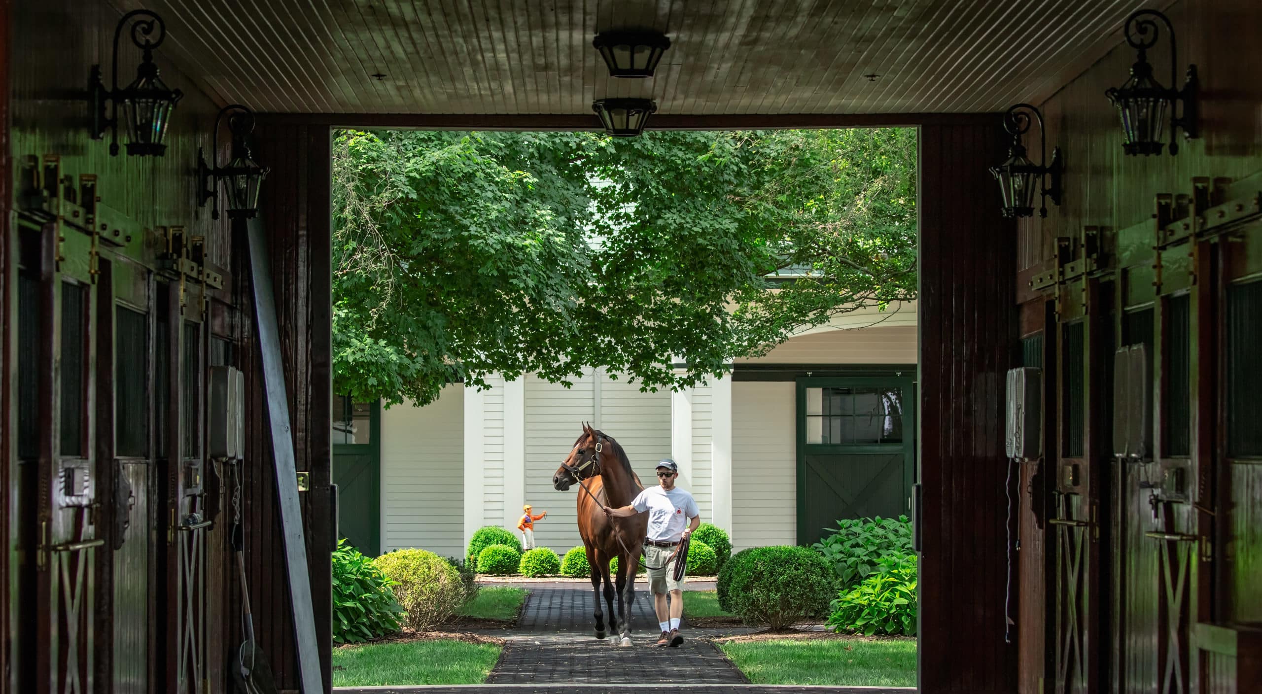 Programs - Spendthrift - A Kentucky Thoroughbred Stallion Farm