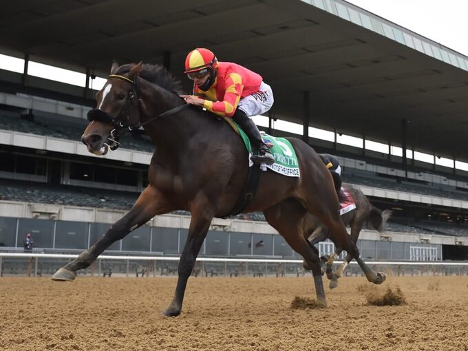 Dayoutoftheoffice | 2020 Frizette-G1 | NYRA photo