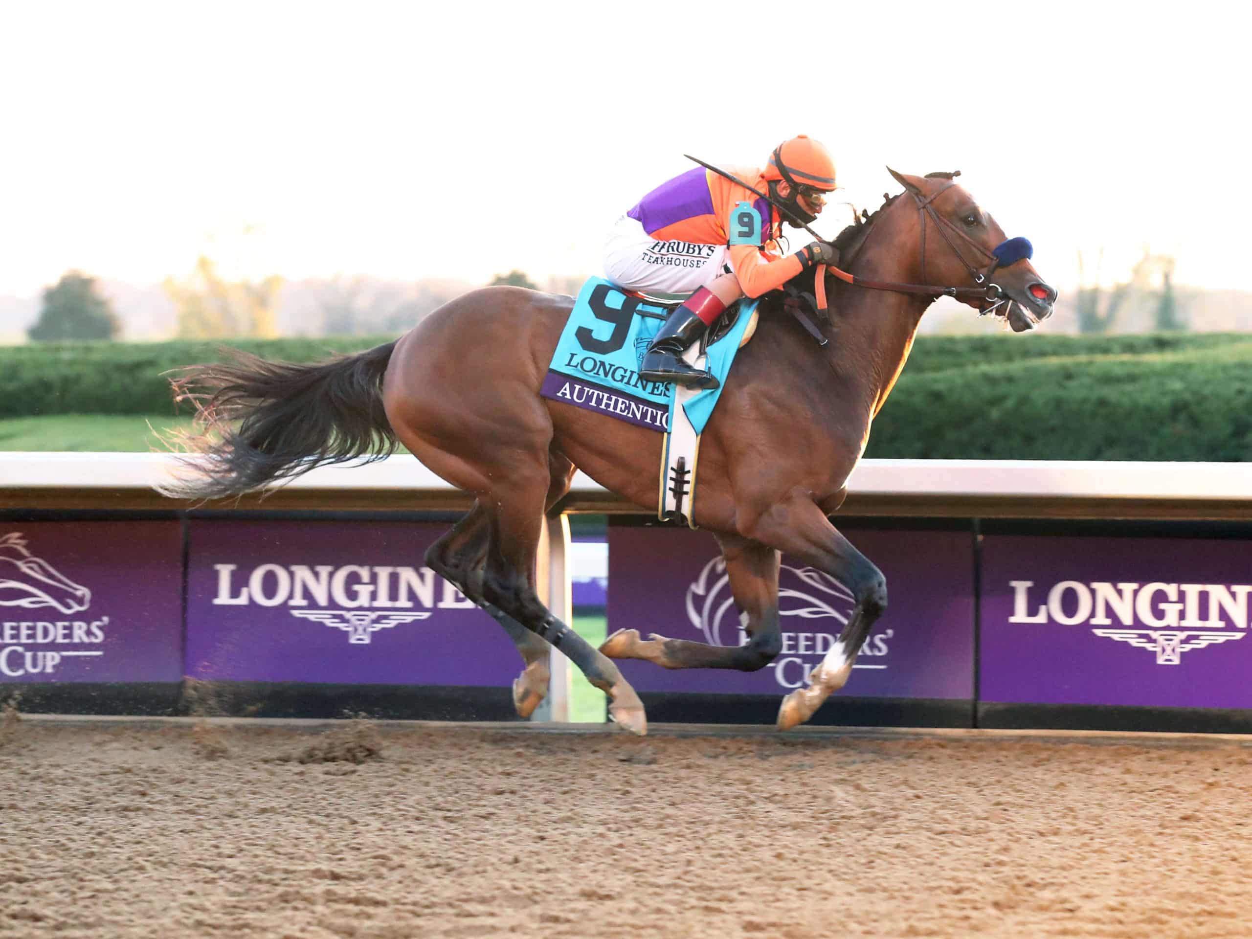 Authentic - Thoroughbred Stallion At Spendthrift Farm, KY