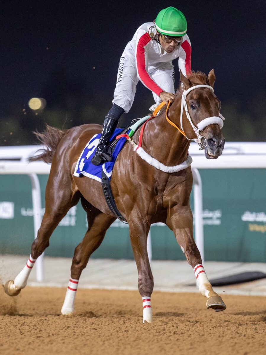 Undefeated 2yo colt Alwajeeh wins the 2024 JCSA Challenge in Saudi Arabia to become his sire's first stakes winner