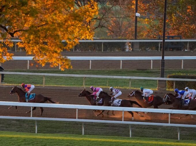 Authentic | 2020 Classic-G1 | Breeders’ Cup/Eclipse Sportswire Photo ©