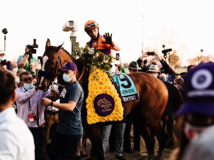 Authentic enters the winner's circle after the Breeder's Cup Classic-G1 | Autry Graham photo