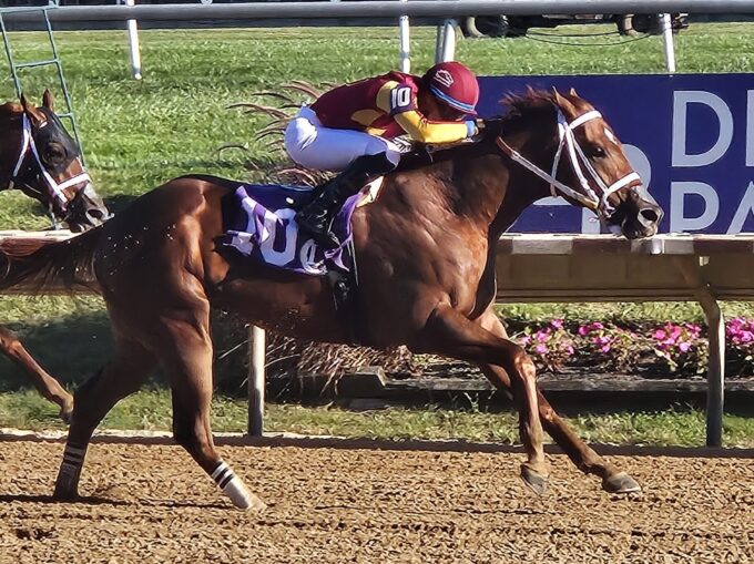 Undefeated 2yo colt It's Hammertime earns his second straight stakes victory in the 2024 Rocky Run S. at Delaware Park