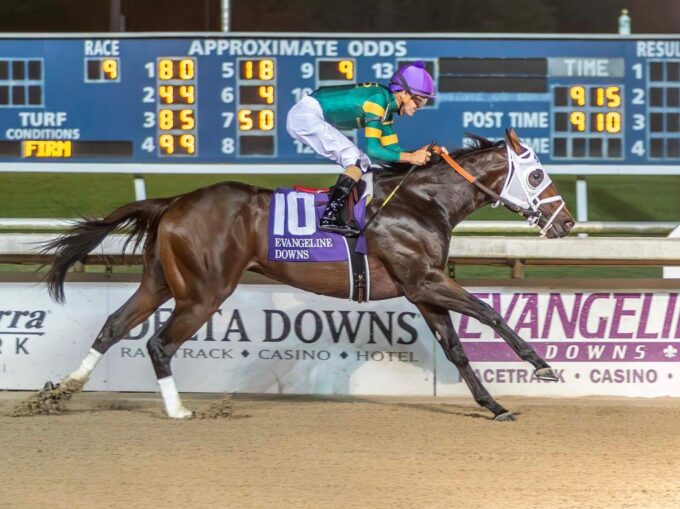 1st Stakes Winner: 2yo colt Louisiana Jess stays undefeated in the 2024 Shine Young Futurity | Hodges