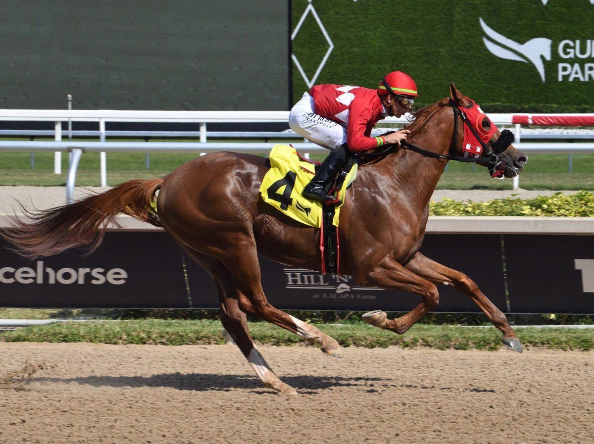 3yo colt Rolando wins the 2025 Hutcheson Stakes at Gulfstream | Coglianese photo