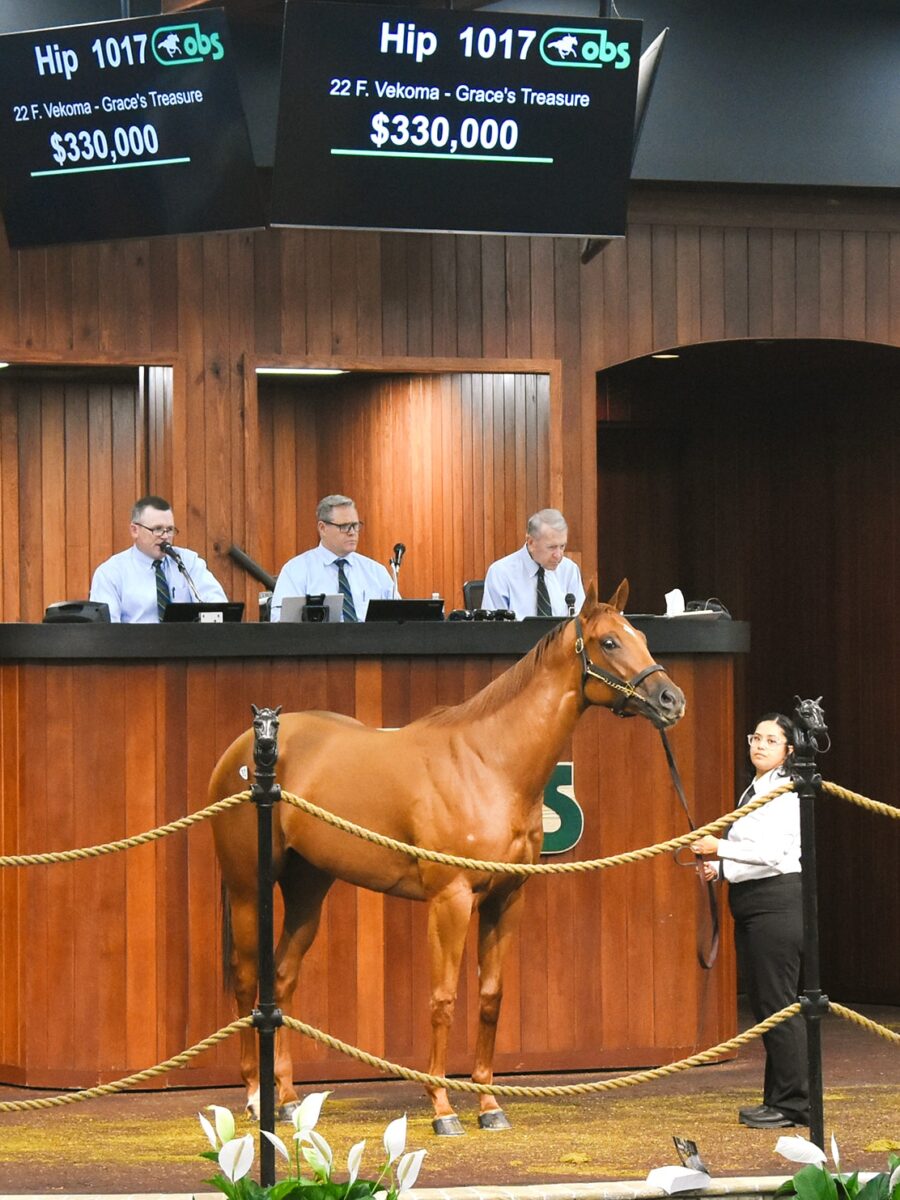 $330,000 at '24 OBSJUNE | Filly o/o Grace's Treasure | Purchased by Swinbank Stables | Judit Seipert photo