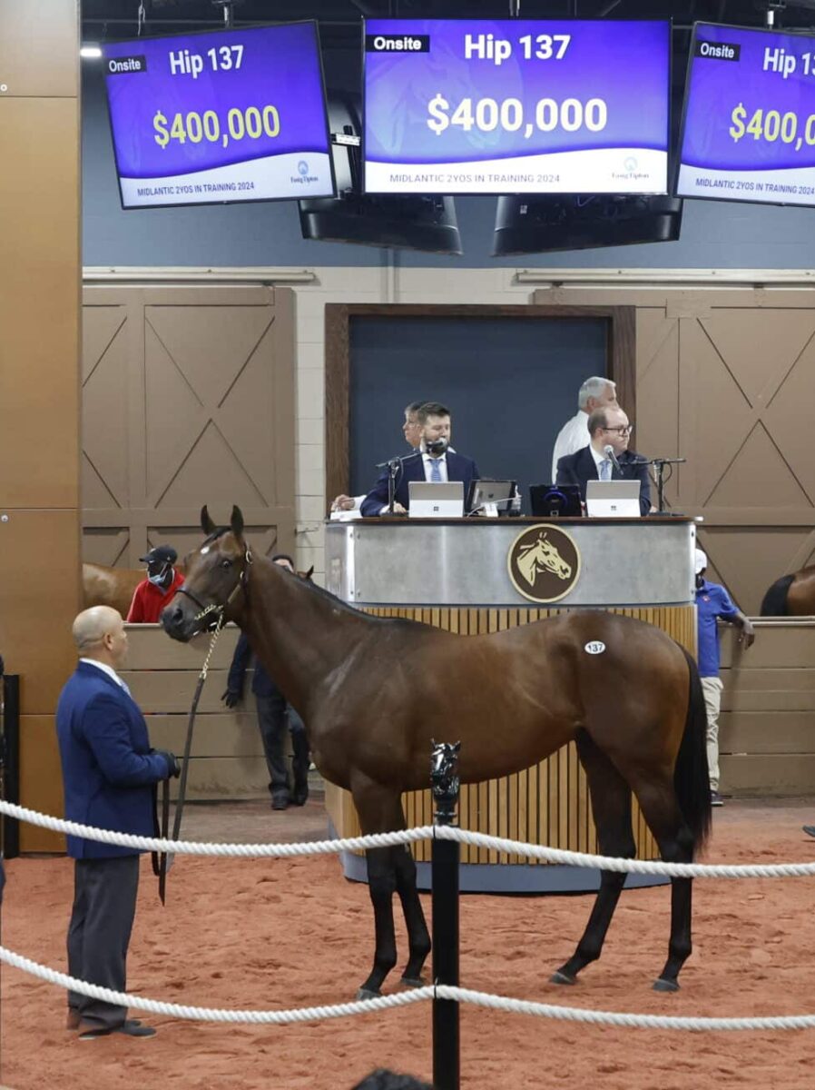 $400,000 at '24 F-T Midlantic | Colt o/o Lightning Twice | Purchased by J.A.S. | Z photo