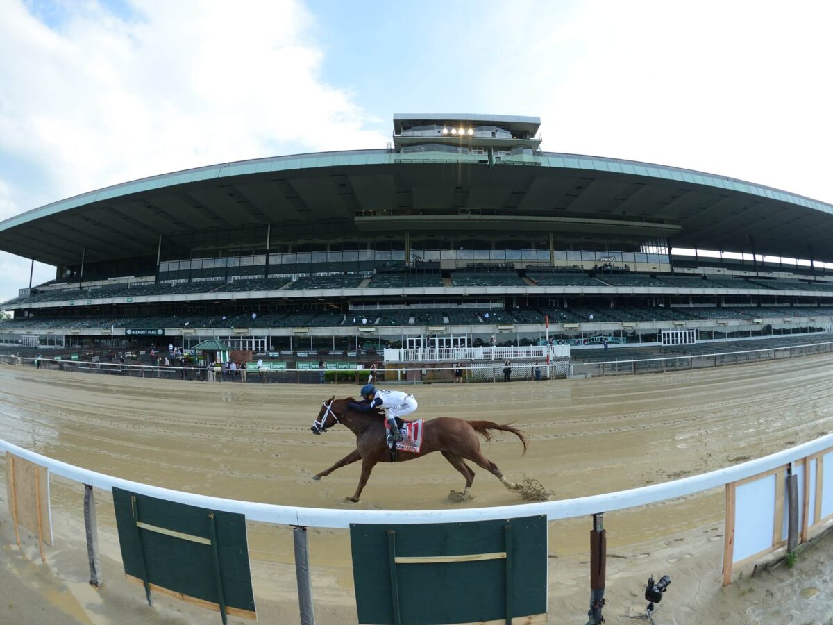 Vekoma | G1 Carter Handicap 2020 | NYRA Photo