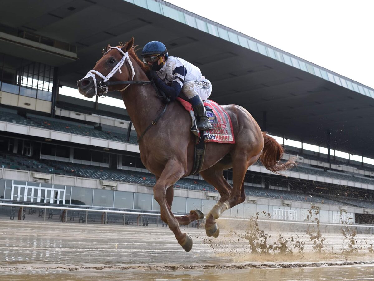 Vekoma | G1 Carter Handicap 2020 | NYRA Photo