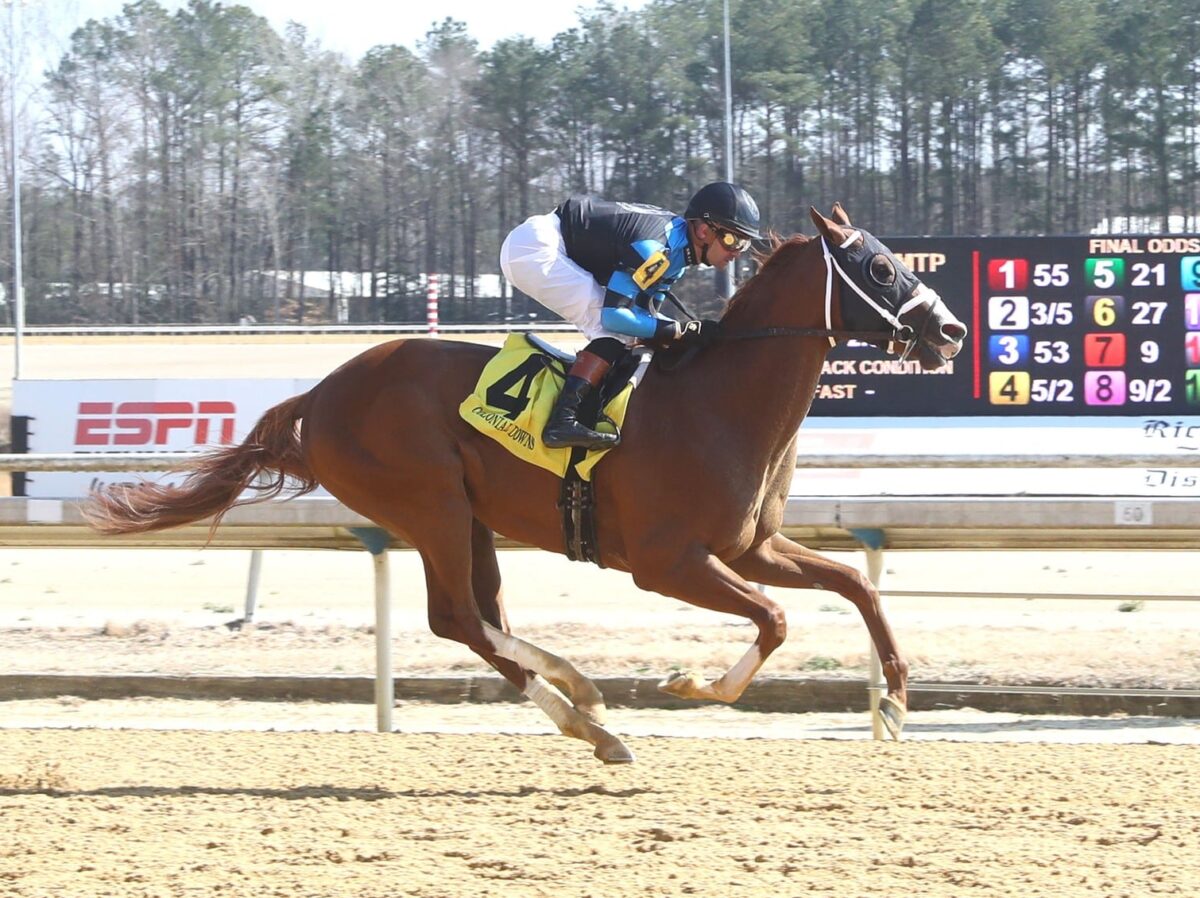 3yo colt Verifire becomes a TDN Rising Star after a dominant debut victory in 1:08.14, earning a 92 Beyer Speed Figure | Coady photo