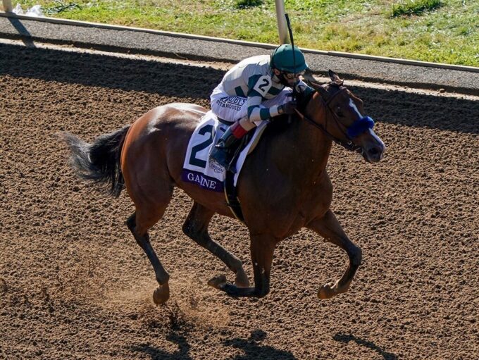 Champion Gamine | 2020 Breeders' Cup F&M Sprint-G1 | Eclipse Sportswire photo