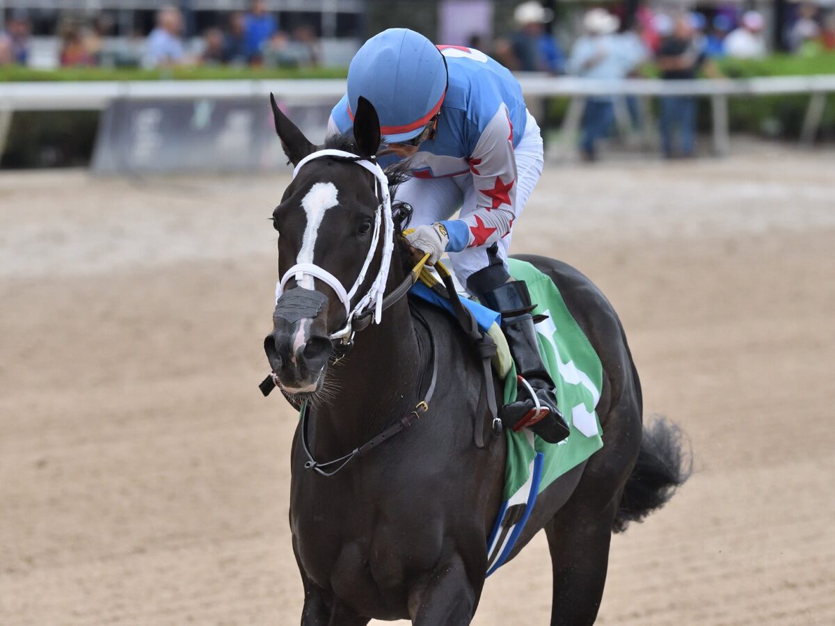 2yo filly Andrea remains undefeated with a 7 3/4-length win in the 2024 Hallandale Beach S. at Gulfstream Park | Coglianese photo