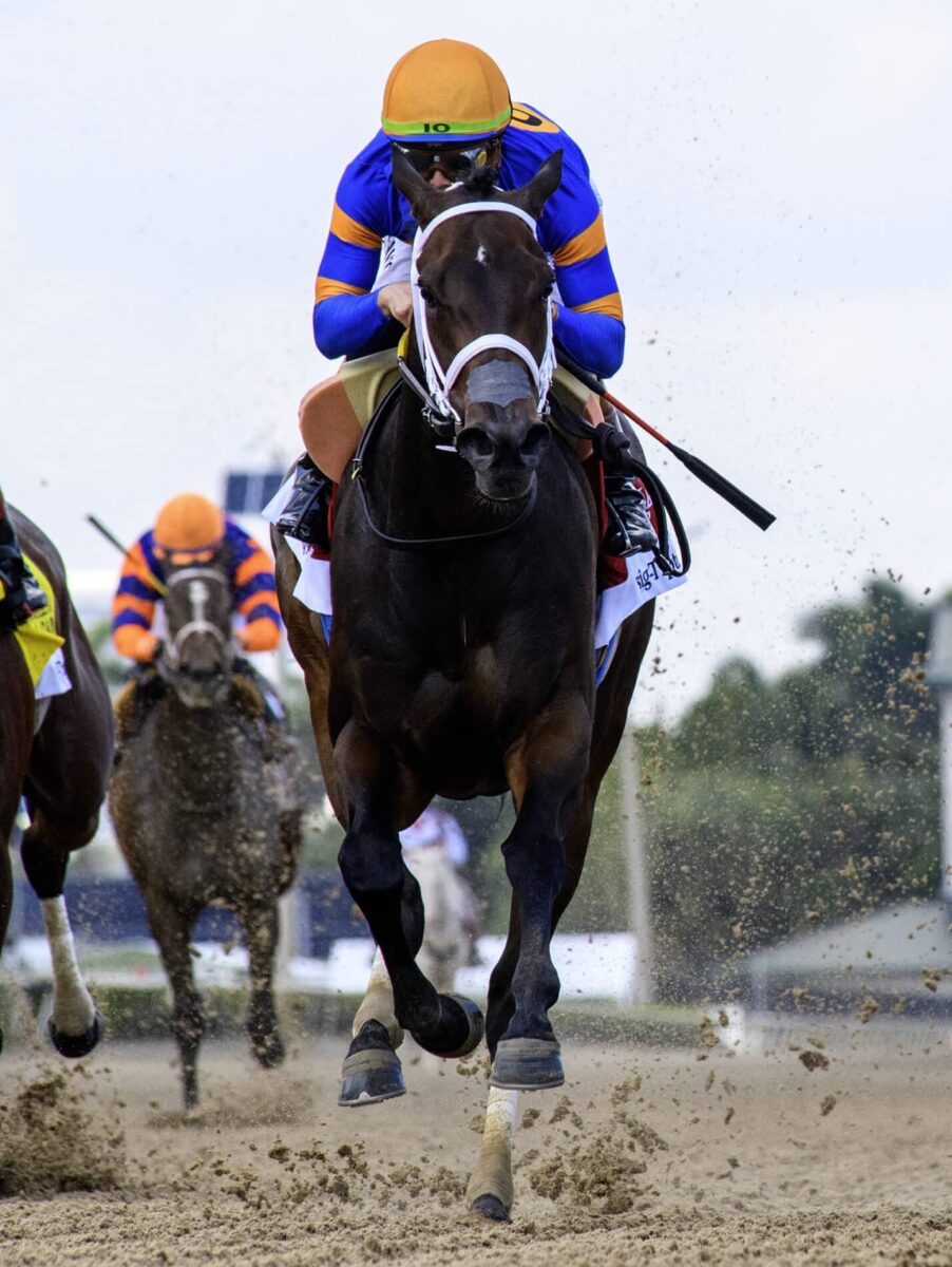 3yo filly The Queens M G wins the 2025 Davona Dale S. (G2) at Gulfstream | Coglianese photo