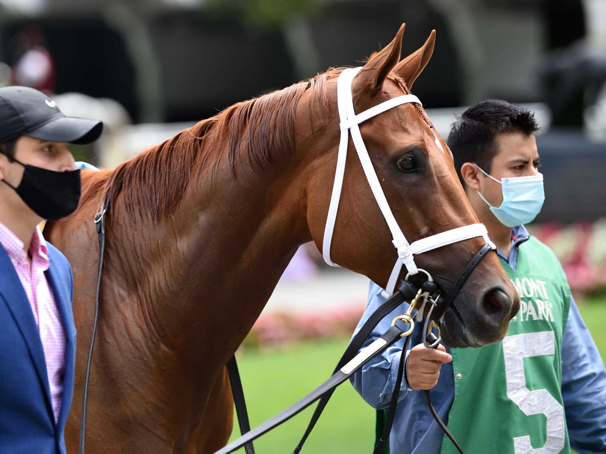 myracehorse-partners-with-spendthrift-on-monomoy-girl-spendthrift-a