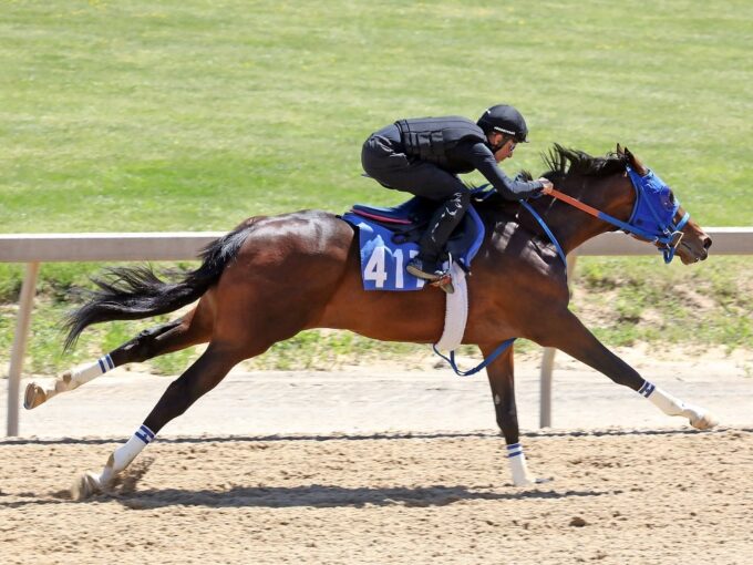 $450,000 colt | Hip 417 | F-T Midlantic Sale 2021 | Purchased by David Ingordo for Mayberry Farm | Photo by Z