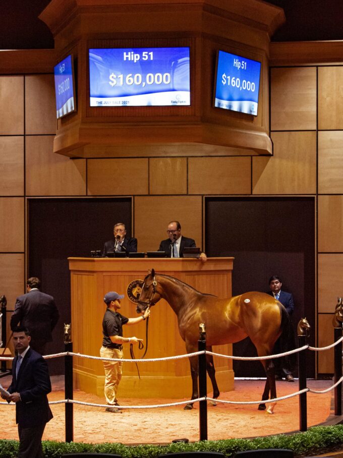 $160,000 colt o/o My Lady Lauren | 2021 F-T July Yearlings | Purchased by Ken McPeek