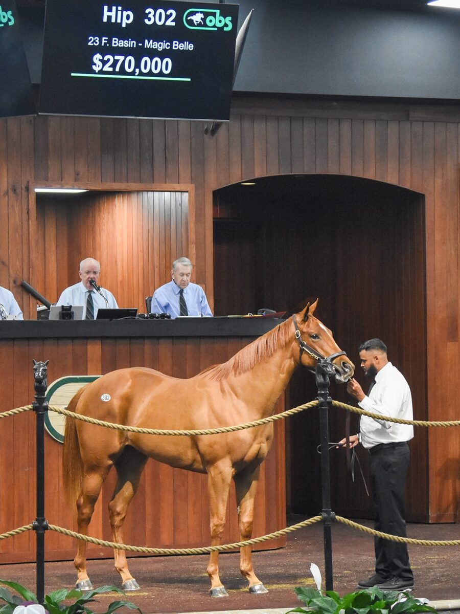 $270,000 at '25 OBSMAR | Filly o/o Magic Belle breezed 9.4 | Purchased by MyRacehorse & Saffie Joseph, Jr. | Judit Seipert photo