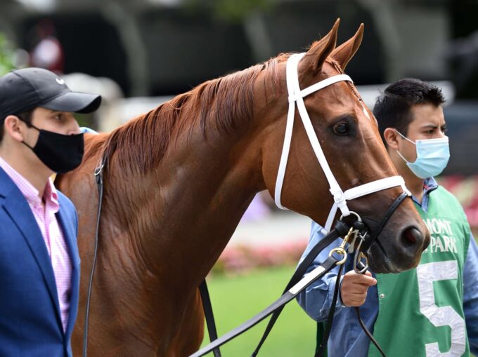 Monomoy Girl retires a 7-time G1 winner, 2-time champion and top 5 dirt female earner of all time | NYRA photo