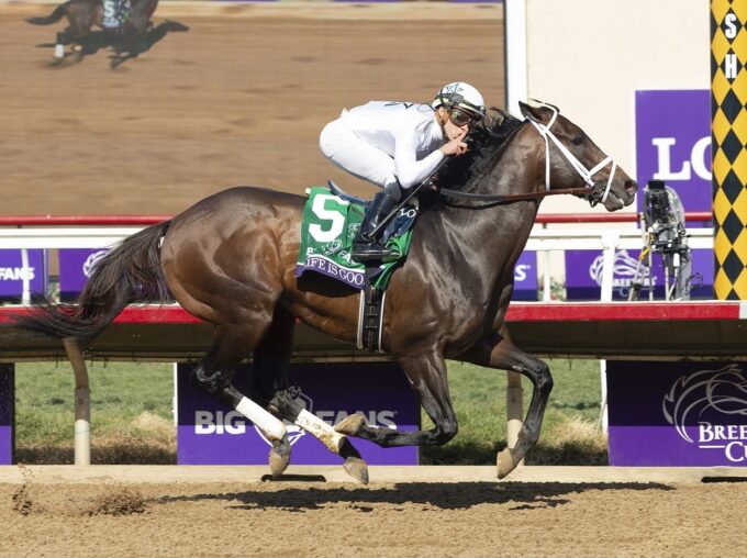 Life Is Good | 2021 Breeders' Cup Dirt Mile-G1 | Benoit photo