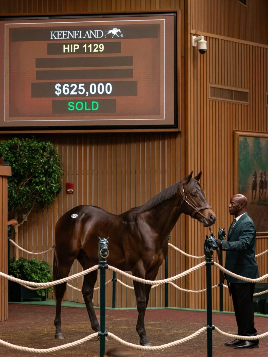 $625,000 at '24 KEESEP | Colt o/o Connie and Michael | Purchased by Spendthrift & Repole Stable | Nicole Finch photo